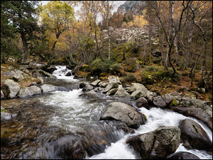 Rzeka, Kamienie, JesieĹ, GĂłry, Las, Drzewa, Mech
