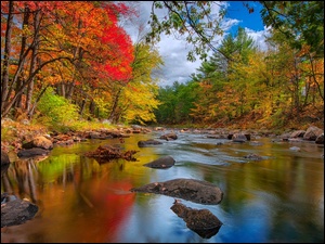 Kamienie, Rzeka, Jesień, Drzewa
