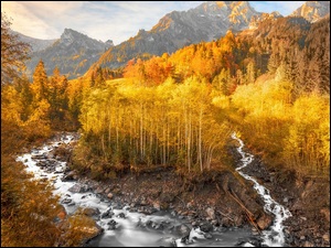 Rzeka, Jesień, Drzewa, Grindelwald, Góry, Kamienie, Szwajcaria, Żółte