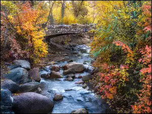 Kamienie, Kolorowe, Colorado Springs, Drzewa, Potok, Kolorado, Most, Jesień, Krzewy, North Cheyenne Creek, Stany Zjednoczone