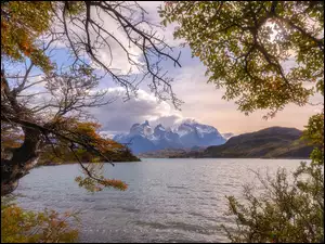 Patagonia, Chile, Góry, Drzewa, Park Narodowy Torres del Paine, Jezioro