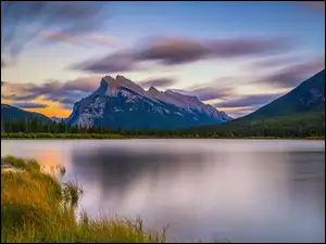 Drzewa, Park Narodowy Banff, Vermilion Lakes, Alberta, Góry, Las, Kanada, Jezioro