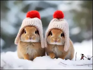 Dwa króliki w czapkach z pomponem