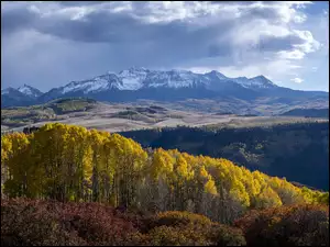 San Juan Mountains, Jesień, Stany Zjednoczone, Góry, Kolorado, Drzewa, Las
