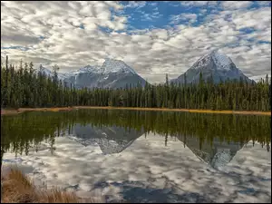Kanada, Jezioro, Park Narodowy Jasper, Brązowa, Trawa, Lake Reflections, Drzewa, Góry, Odbicie