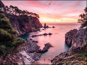Morze, Drzewa, Costa Brava, Hiszpania, Skały