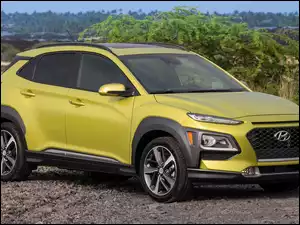 Hyundai Kona, Żółty