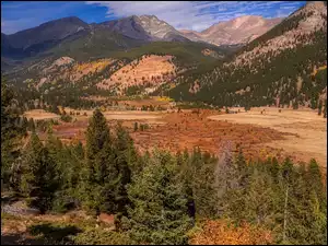 Góry Skaliste, Góry, Park Narodowy Gór Skalistych, Stany Zjednoczone, Drzewa, Kolorado
