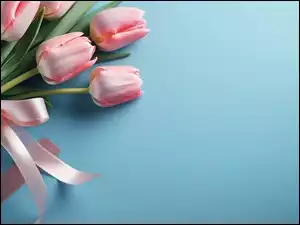 Bukiet różowych tulipanów ze wstążką na niebieskim tle