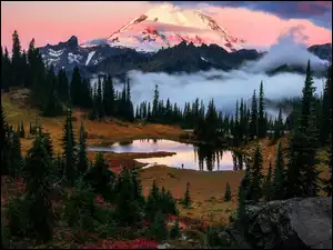 Stany Zjednoczone, Góra, Stan Waszyngton, Tipsoo Lake, Park Narodowy Mount Rainier, Mount Rainier, Drzewa, Stratowulkan, Jezioro