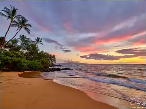 Maui, Zachód słońca, Palmy, Hawaje, Plaża, Chmury, Stany Zjednoczone, Morze