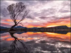 Drzewo, Chmury, Jezioro, Góry, Zachód słońca