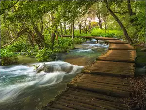 Plitvice, Chorwacja, Rzeka, Pomost, Park Narodowy Jezior Plitwickich, Drzewa