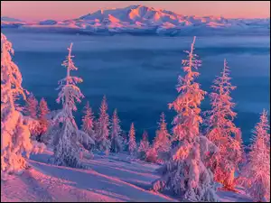 Góry, Zima, Ośnieżone, Mgła, Zachód słońca, Drzewa