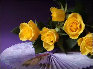 Wachlarz, Bukiet, Żółte, Róże