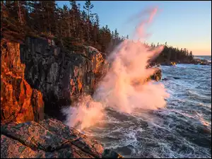 Skały, Morze, Park Narodowy Acadia, Stany Zjednoczone, Drzewa, Maine