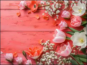 Tulipany, Tło, Kwiaty, Kolorowe, Czerwone