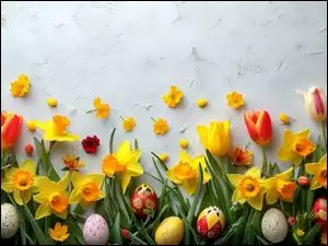 Żonkile, Wielkanoc, Tulipany, Kwiat, Pisanki