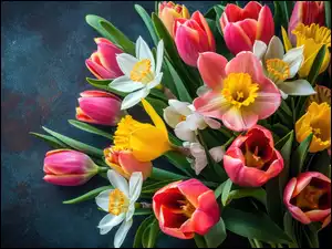 Kolorowe, Narcyzy, Kwiaty, Bukiet, Tulipany