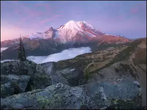 Mgła, Góra, Las, Stan Waszyngton, Mount Rainier, Drzewa, Stany Zjednoczone, Park Narodowy Mount Rainier