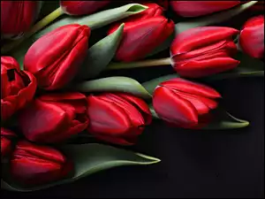 Czerwone tulipany na czarnym tle w grafice