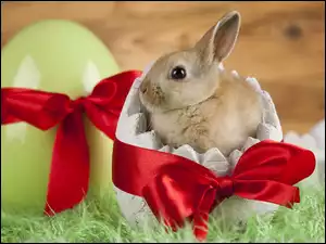 Jajko z kokardą i królik w skorupce jajka na trawie