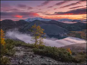 Kołyma, Rosja, Drzewa, Jezioro Mechta, Góry Kołymskie, Mgła