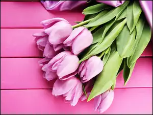 Bukiet tulipanów leżący na różowych deskach