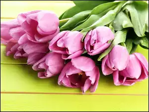 Bukiet fioletowych tulipanów na żółtych deskach