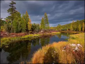 Kołyma, Rosja, Drzewa, Chmury, Rzeka, Jesień