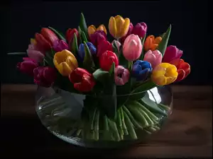 Tulipany, Wazon, Kolorowe, Bukiet, Szklany