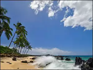 Maui, Morze, Niebo, Hawaje, Palmy, Skały, Plaża