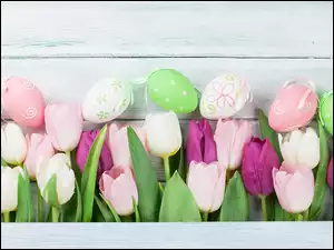 Różnokolorowe, Tulipany, Deski, Kwiaty, Białe, Pisanki, Kolorowe