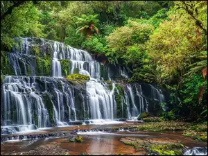 Nowa Zelandia, Purakaunui Falls, Rośliny, Drzewa, Zielone, Skały, Rzeka, Wodospad, Las