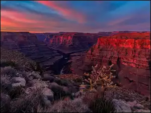 Zachód słońca, Park Narodowy Wielkiego Kanionu, Wielki Kanion Kolorado, Arizona, Góry, Grand Canyon, Stany Zjednoczone, Rośliny