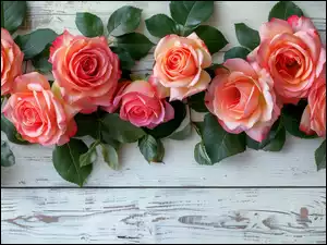 Liście, Deski, Róże, Kwiaty, Drewniane