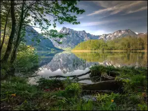 Almtal, Góry, Odbicie, Austria, Drzewa, Almsee, Jezioro