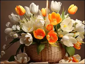 Pomarańczowe, Koszyk, Białe, Kwiaty, Tulipany