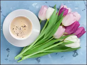 Zroszone kolorowe tulipany obok filiżanki kawy na niebieskim tle