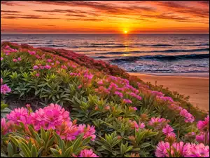 Wielobarwny zachód słońca nad morzem i plaża z kwiatami