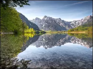 Almsee, Austria, Odbicie, Drzewa, Almtal, Jezioro, Odbicie, Góry