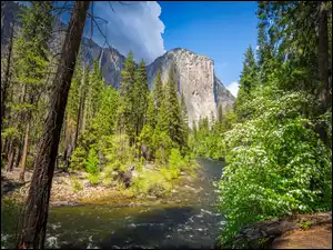 Góra El Capitan i rzeka Merced wParku Narodowym Yosemite