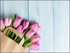 Zroszone fioletowe tulipany w papierowej torbie na błękitnych deskach