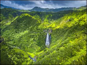 Wodospad, Rzeka, Na Pali Coast State Wilderness Park, Chmury, Las, Hawaje, Jurassic Falls, Góry, Napali Coast, Drzewa, Stany Zjednoczone