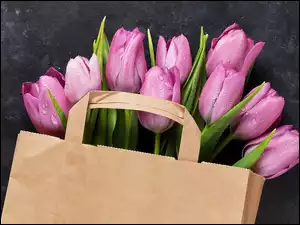 Różowe tulipany w papierowej torbie na ciemnym tle