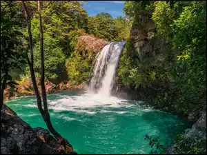 Tawhai Falls, Jezioro, Nowa Zelandia, Wodospad, Park Narodowy Tongariro, Roślinność, Drzewa