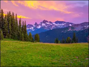 Kolorowe niebo nad Parkiem Narodowym Mount Rainier w stanie Waszyngton