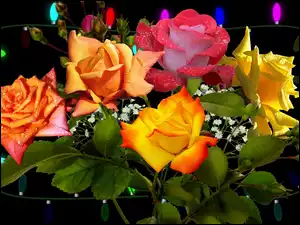 Róże, Krople, Kolorowe, Kwiaty, Bukiet
