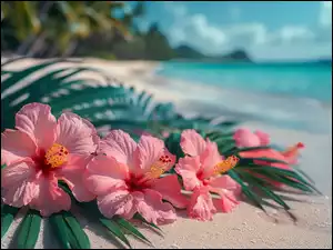 Kwiaty hibiskusa na morskiej plaży