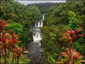 Drzewa, Stany Zjednoczone, Umauma Falls, Rzeka, Hawaje, Roślinność, Umauma River, Wodospad